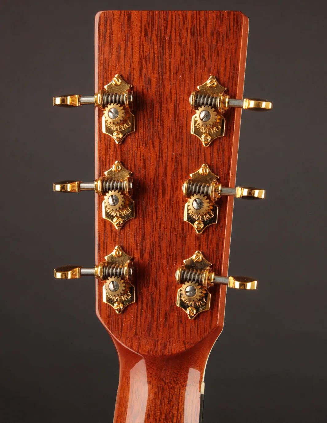 Froggy Bottom M Deluxe (USED, 2007)