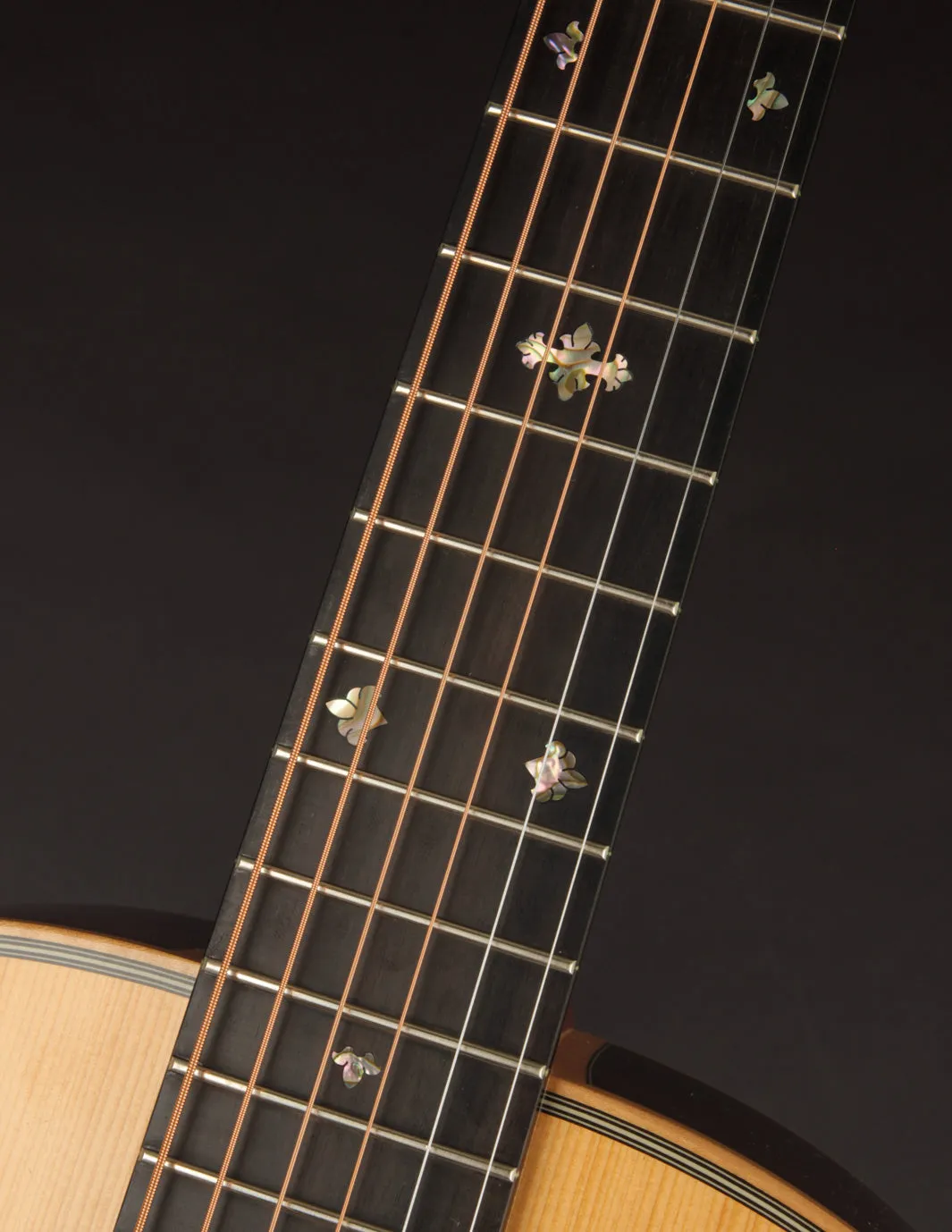 Froggy Bottom M Deluxe (USED, 2007)