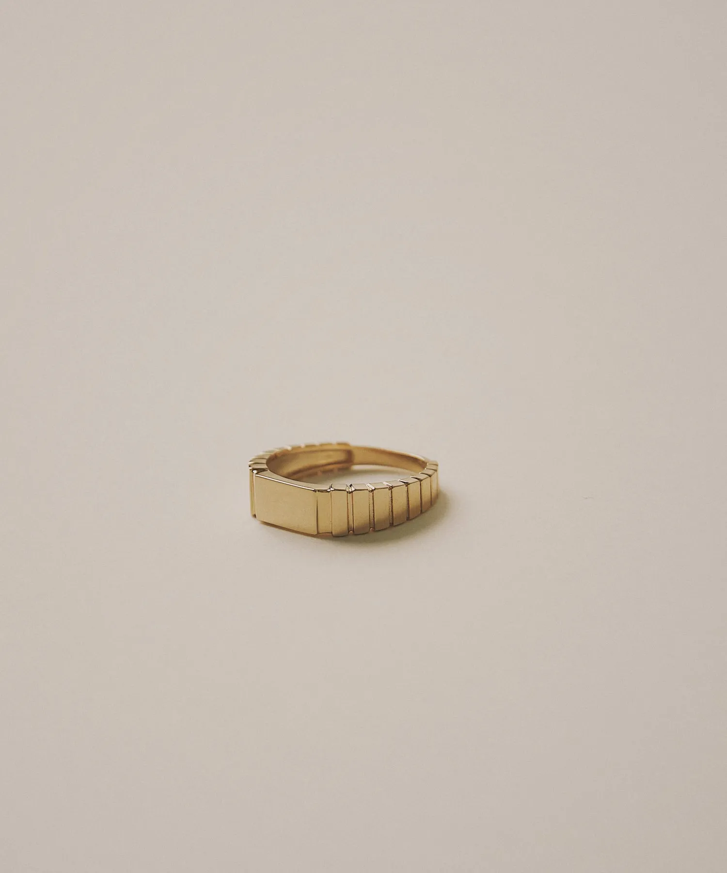 James Groove Signet Ring 14k Recycled Solid Gold