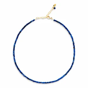 Lapis Lazuli Faceted Gemstone Necklace