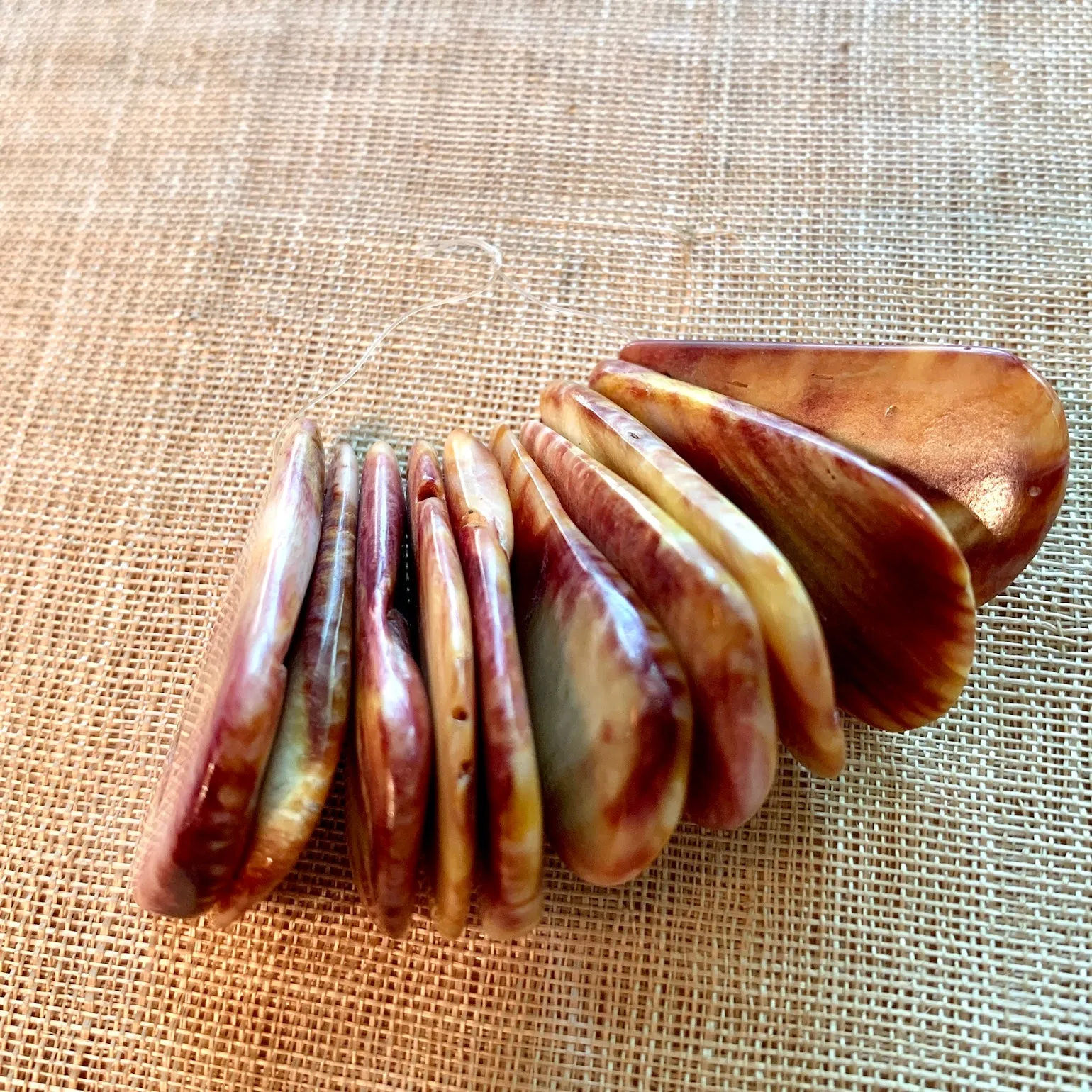 Spiny Oyster Teardrops