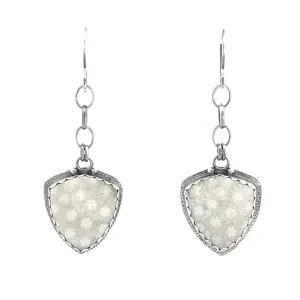 Sterling Silver Earrings with Fossil Coral Cabs